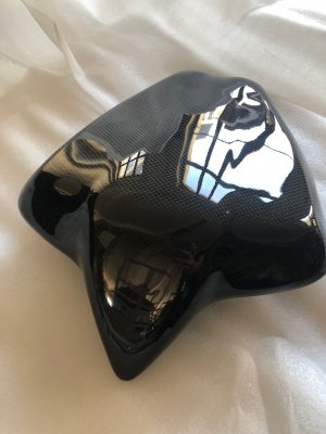 Heckabdeckung RS 660 Carbon 1.jpg