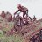 Tom_147