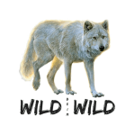 wildbeimwild.com